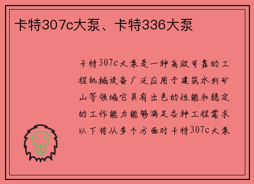 卡特307c大泵、卡特336大泵